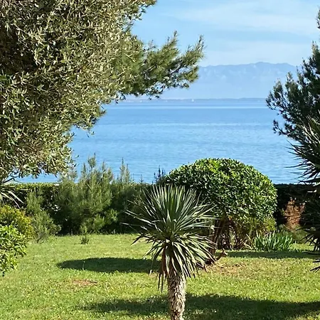 Mirna Sušica
