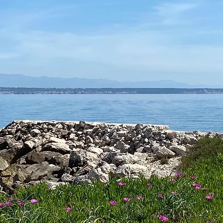 Hébergement de vacances Mirna Sušica