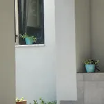 Mirna Casa de Férias